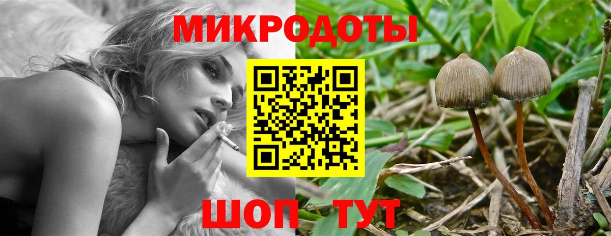 Псилоцибиновые грибы мицелий Кизилюрт