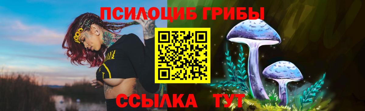 Галлюциногенные грибы мицелий  Псилоцибиновые грибы прущие грибы  Кизилюрт  Вход с VPN 